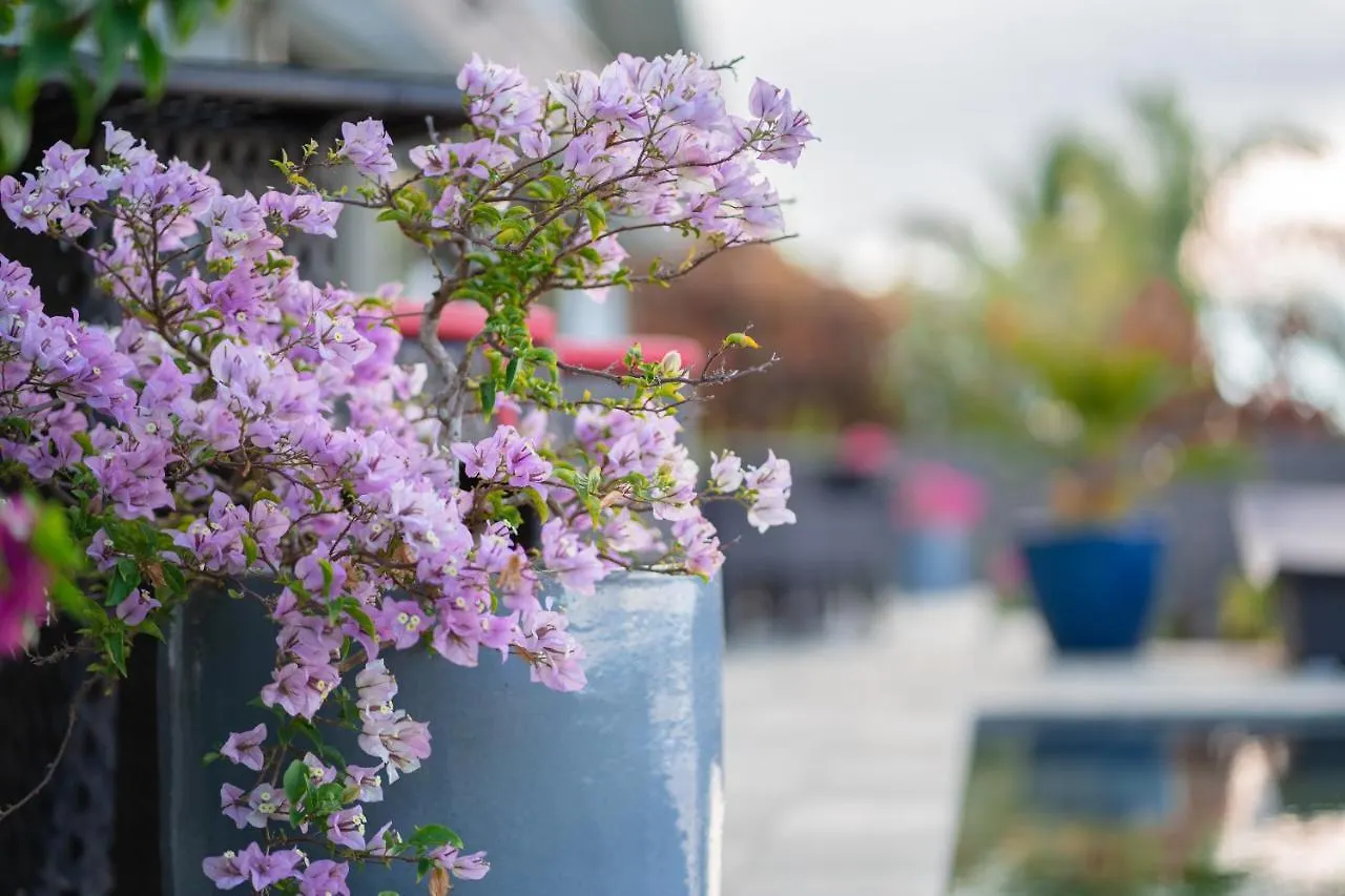 Villa Jessivia Beach Moorea