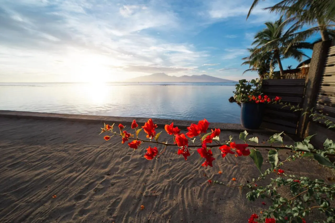 Villa Jessivia Beach Moorea